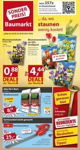 sonderpreis-baumarkt - Sonderpreis Baumarkt-Prospekt gültig vom 30.08. bis 05.09.