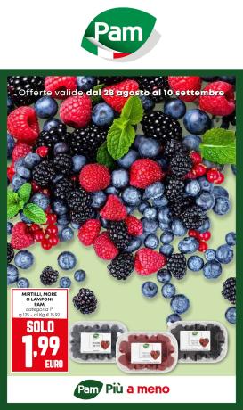 pam-retail-pro - Volantino Pam Retail Pro valido dal 28/08 al 10/09