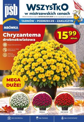 mrowka - Nowa gazetka Mrówka - Tarnów, Zakliczyn, Podrzecze ważna od 16.10.2026 do 10.11.2026