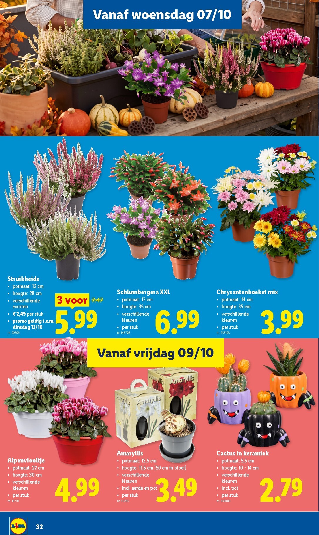 lidl - Lidl folder voor volgende week van maandag 05/10/2026 tot zaterdag 10/10/2026 - page: 32