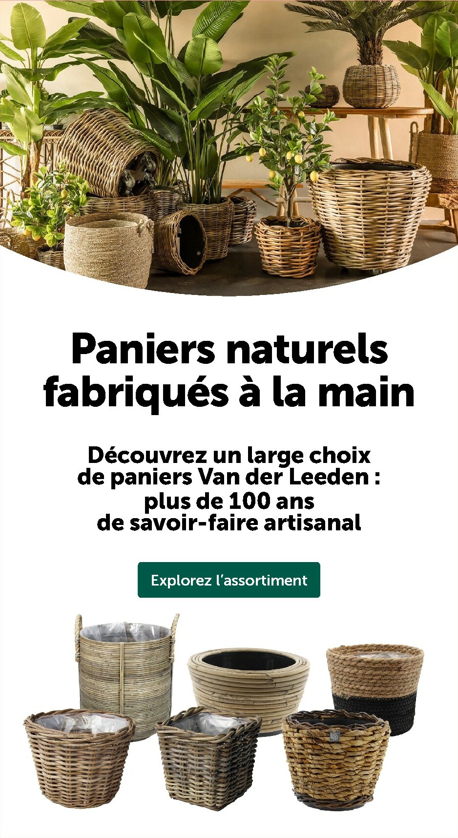 aveve - De Aveve folder geldig vanaf 11/02/2026 t/m 22/02/2026 - page: 14