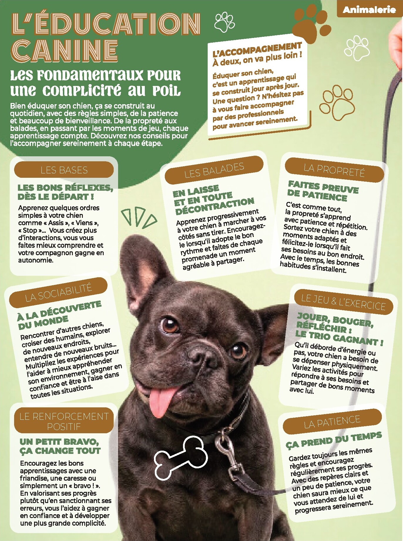 auchan - Auchan - Animalerie folder voor volgende week van dinsdag 06/10/2026 tot zondag 18/10/2026 - page: 17