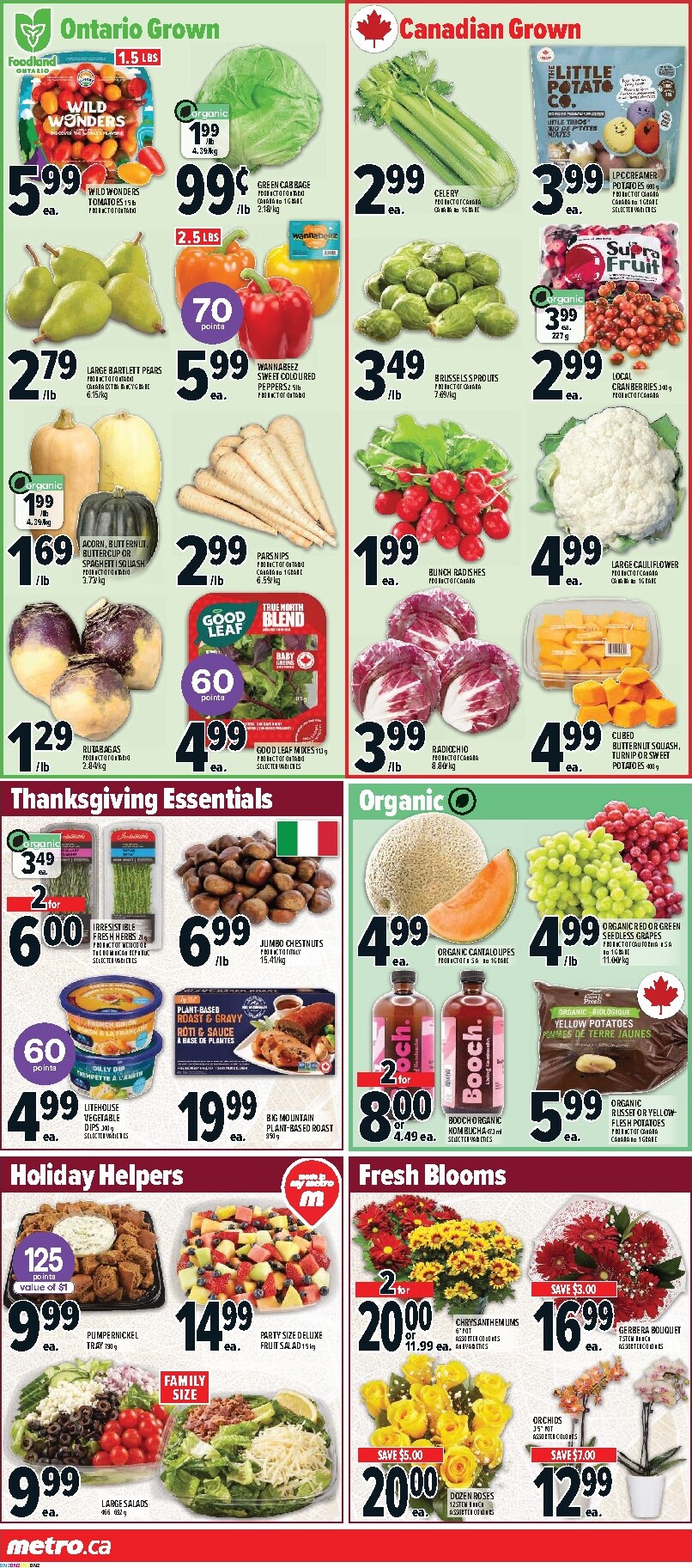 metro - Metro - Thanksgiving Sale Flyer Valid from 2026-10-08 to 2026-10-14 - page: 3