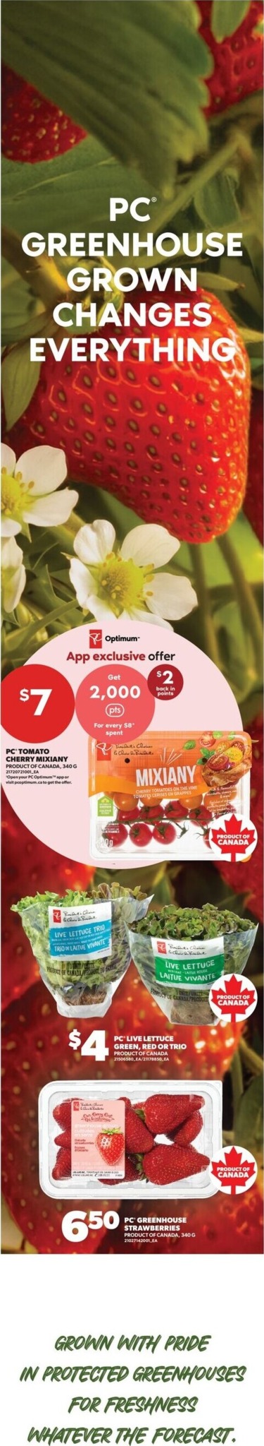 real-canadian-superstore - New Real Canadian Superstore Flyer for This Week – 2026-10-15 to 2026-10-21 - page: 6