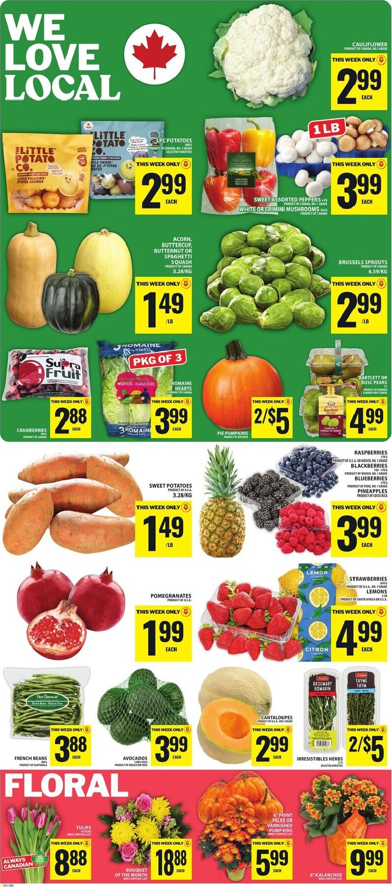 food-basics - New Food Basics Flyer for This Week – 2026-10-01 to 2026-10-07 - page: 3