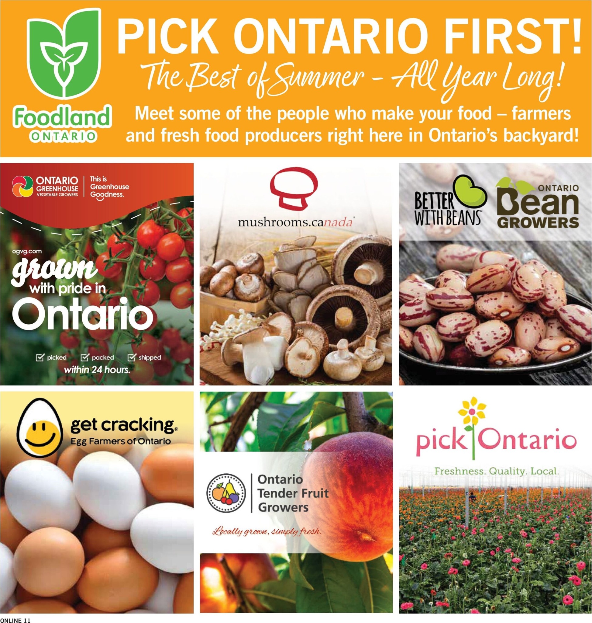 fortinos - New Fortinos Flyer for This Week – 2026-08-20 to 2026-08-26 - page: 11