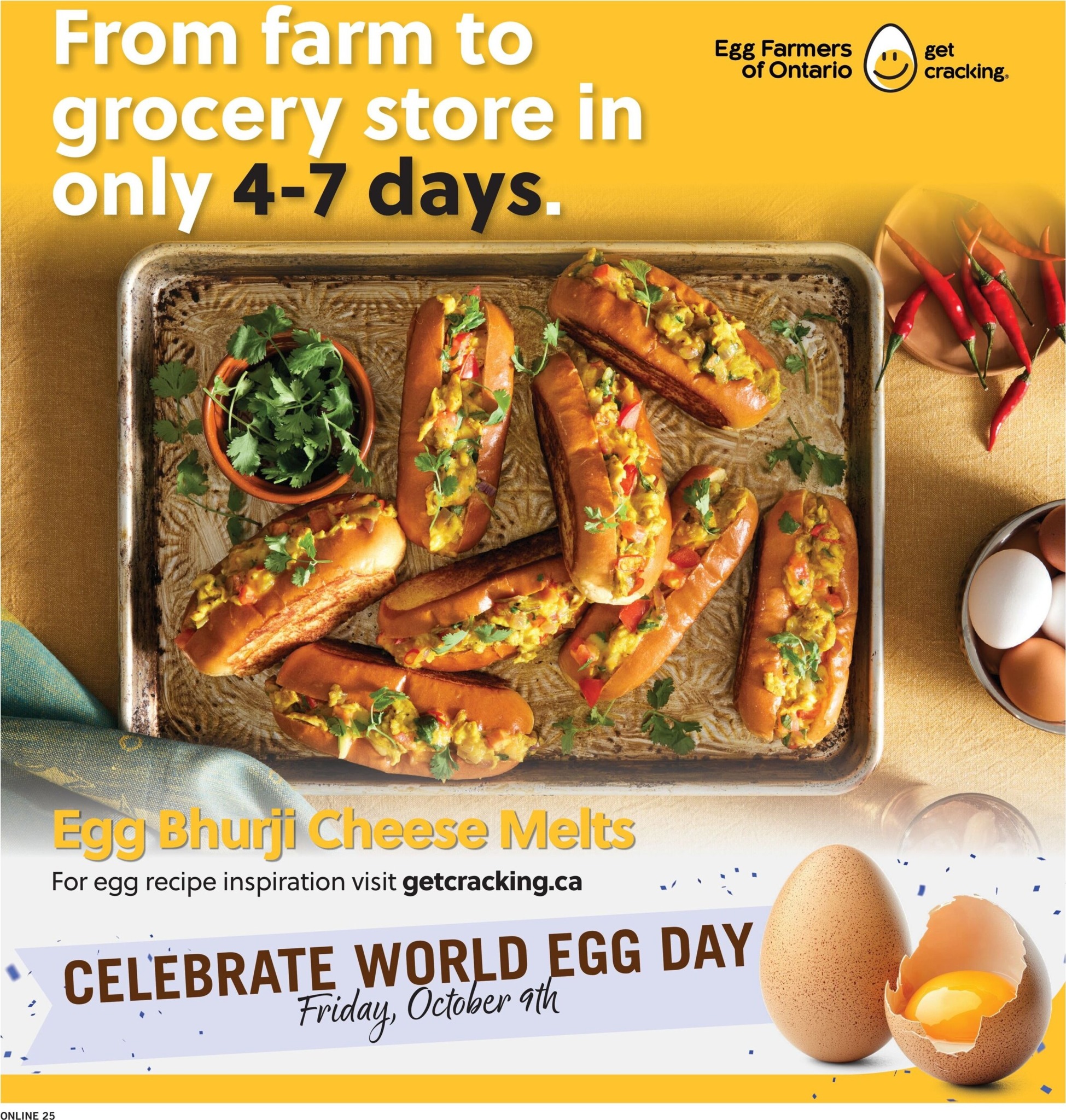 fortinos - New Fortinos Flyer for This Week – 2026-10-08 to 2026-10-11 - page: 25