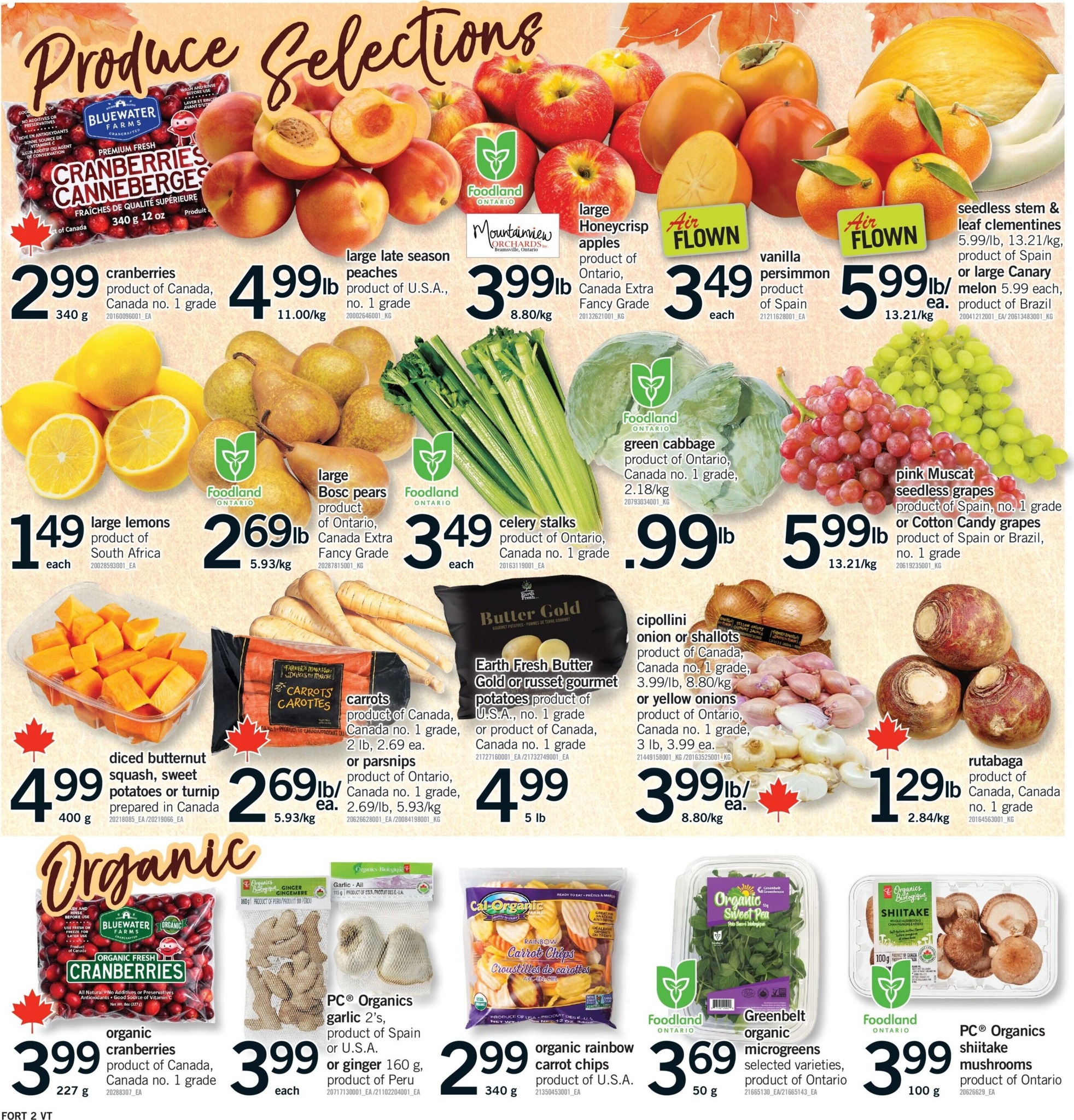 fortinos - New Fortinos Flyer for This Week – 2026-10-08 to 2026-10-11 - page: 3