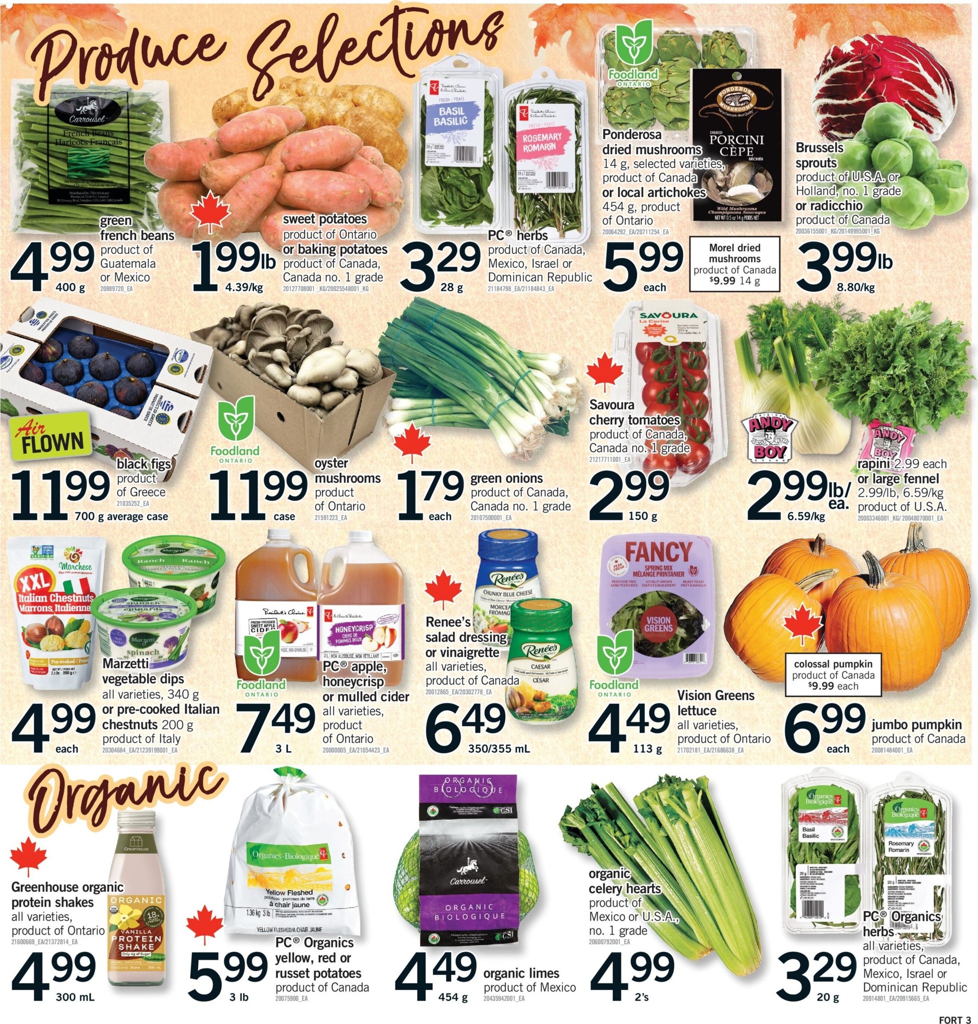 fortinos - New Fortinos Flyer for This Week – 2026-10-08 to 2026-10-11 - page: 4