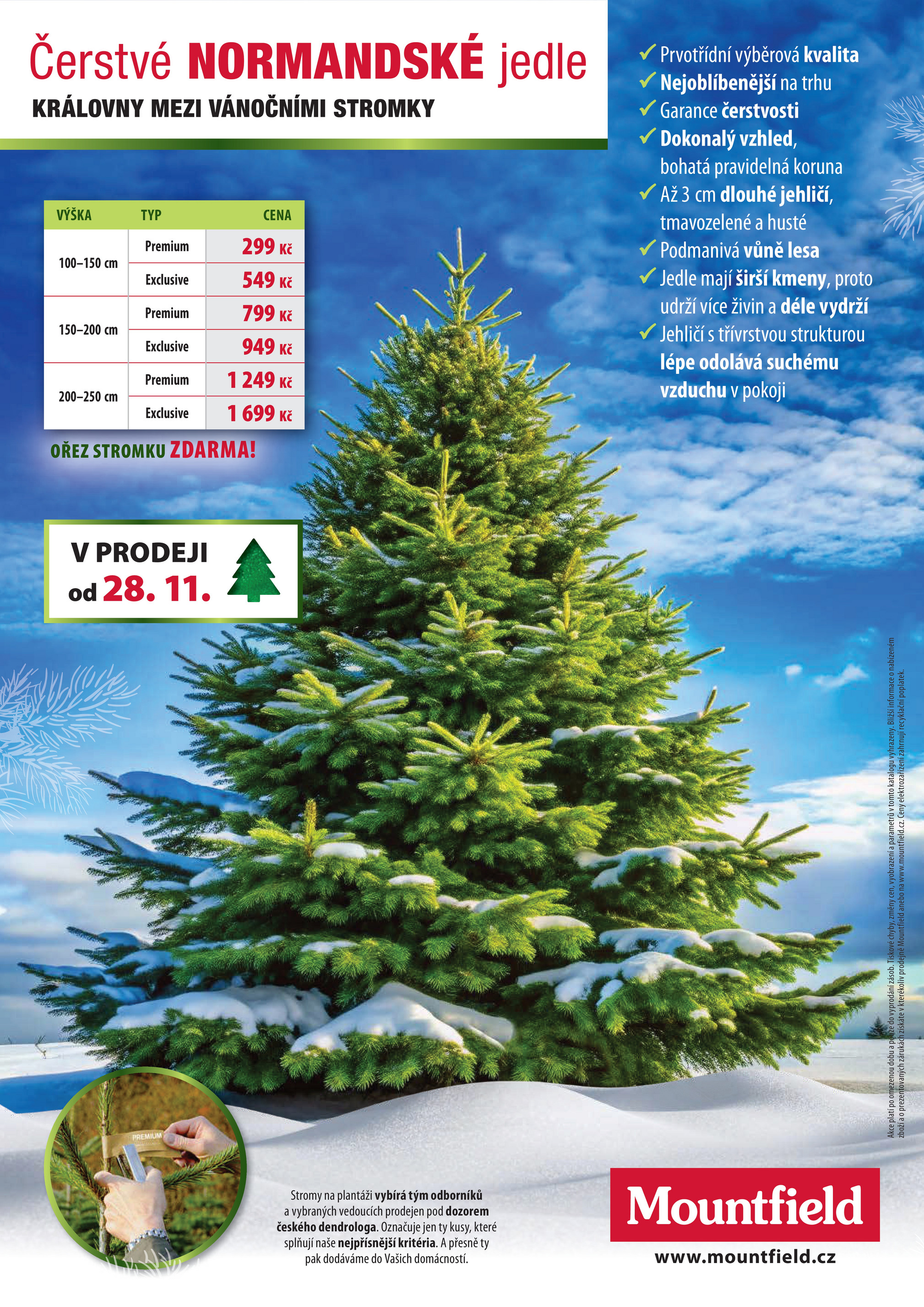 mountfield - Aktuální leták Mountfield - Vánoce od 01.01. do 31.01. - page: 12