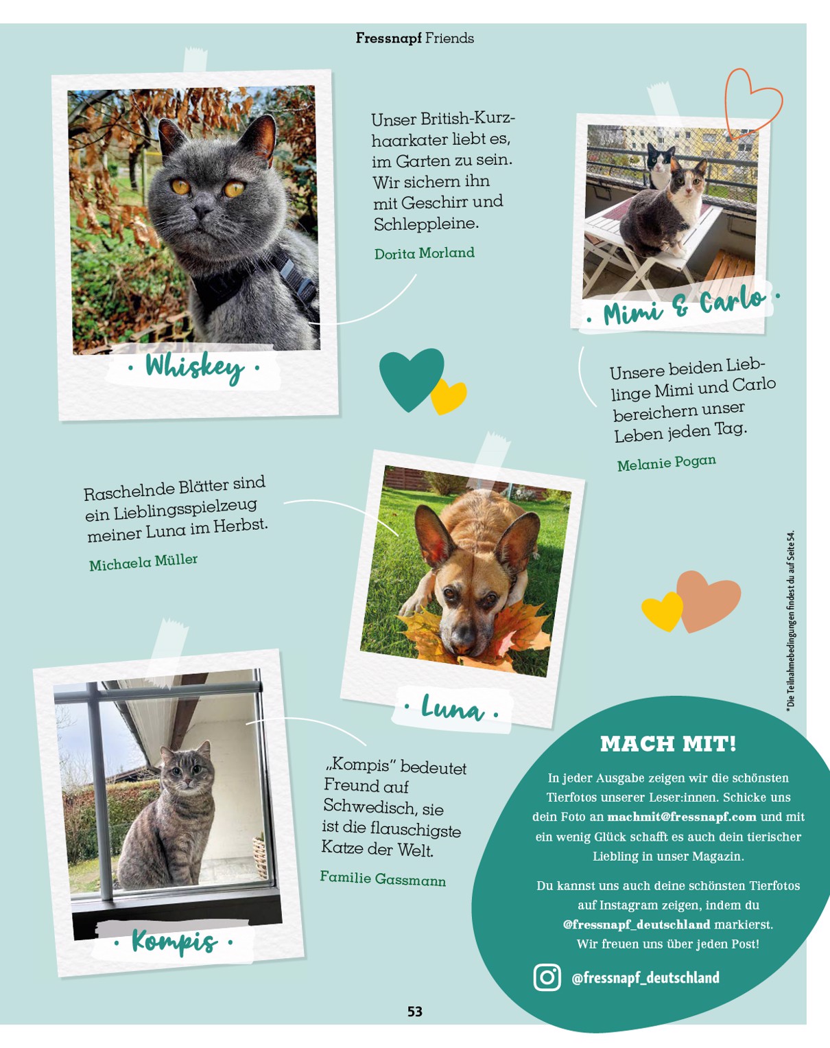 fressnapf - Fressnapf - Friends Magazin-Prospekt gültig vom 01.09. bis 31.10. - page: 53
