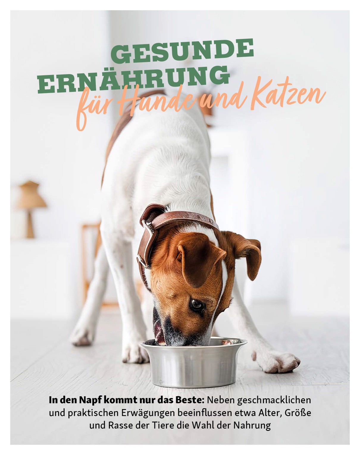 fressnapf - Fressnapf - Friends Magazin-Prospekt gültig vom 01.09. bis 31.10. - page: 16