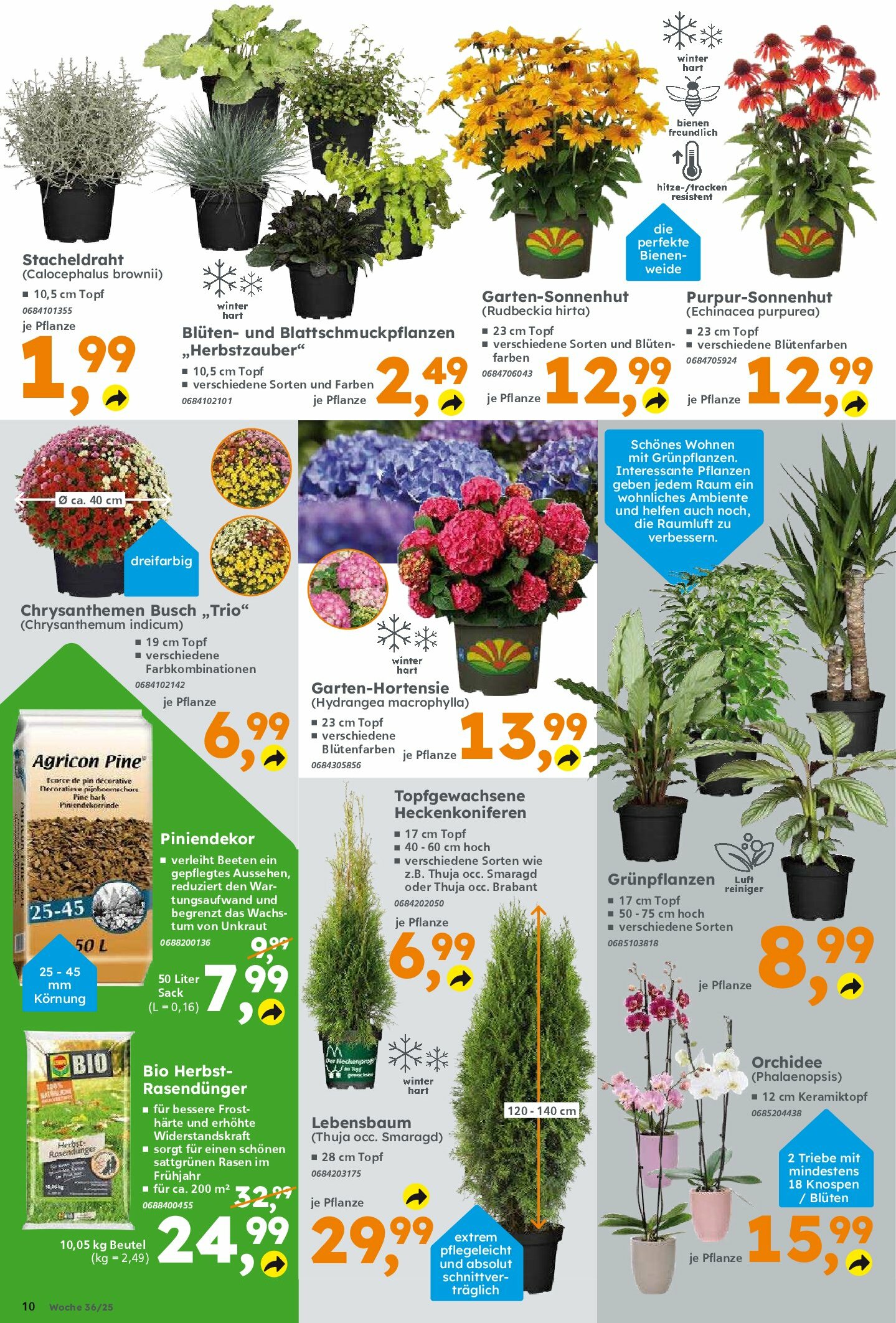 globus-baumarkt - Globus Baumarkt-Prospekt gültig vom 31.08. bis 06.09. - page: 10