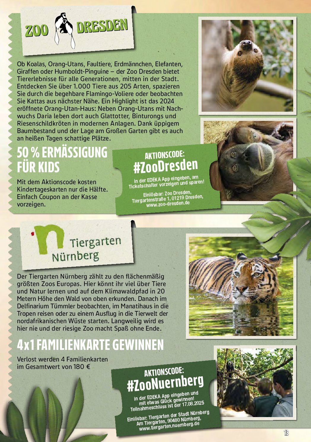 marktkauf - Marktkauf-Prospekt gültig vom 25.08. bis 30.08. - page: 57