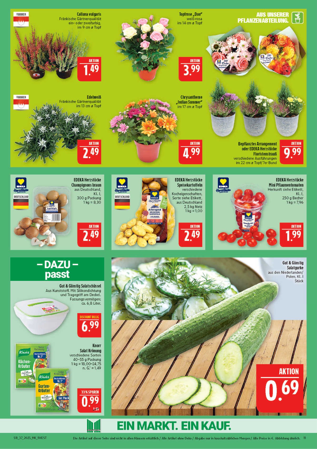 marktkauf - Marktkauf-Prospekt gültig vom 08.09. bis 13.09. - page: 11