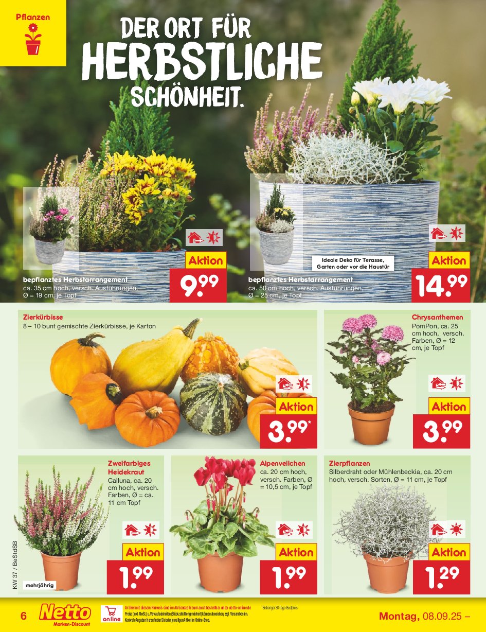 netto-marken-discount - Netto Marken Discount-Prospekt gültig vom 08.09. bis 13.09. - page: 8