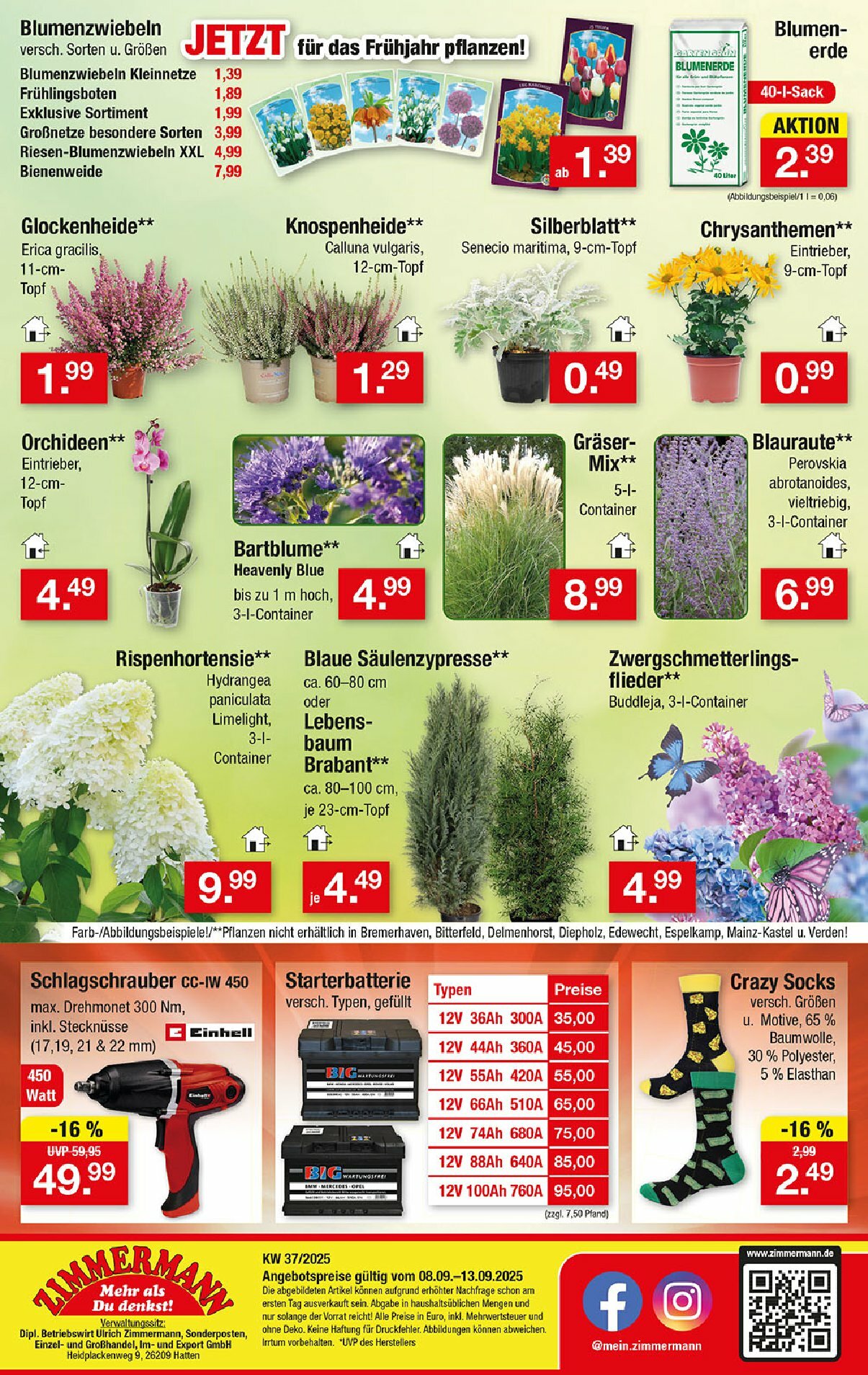 zimmermann - Zimmermann-Prospekt gültig vom 08.09. bis 13.09. - page: 10