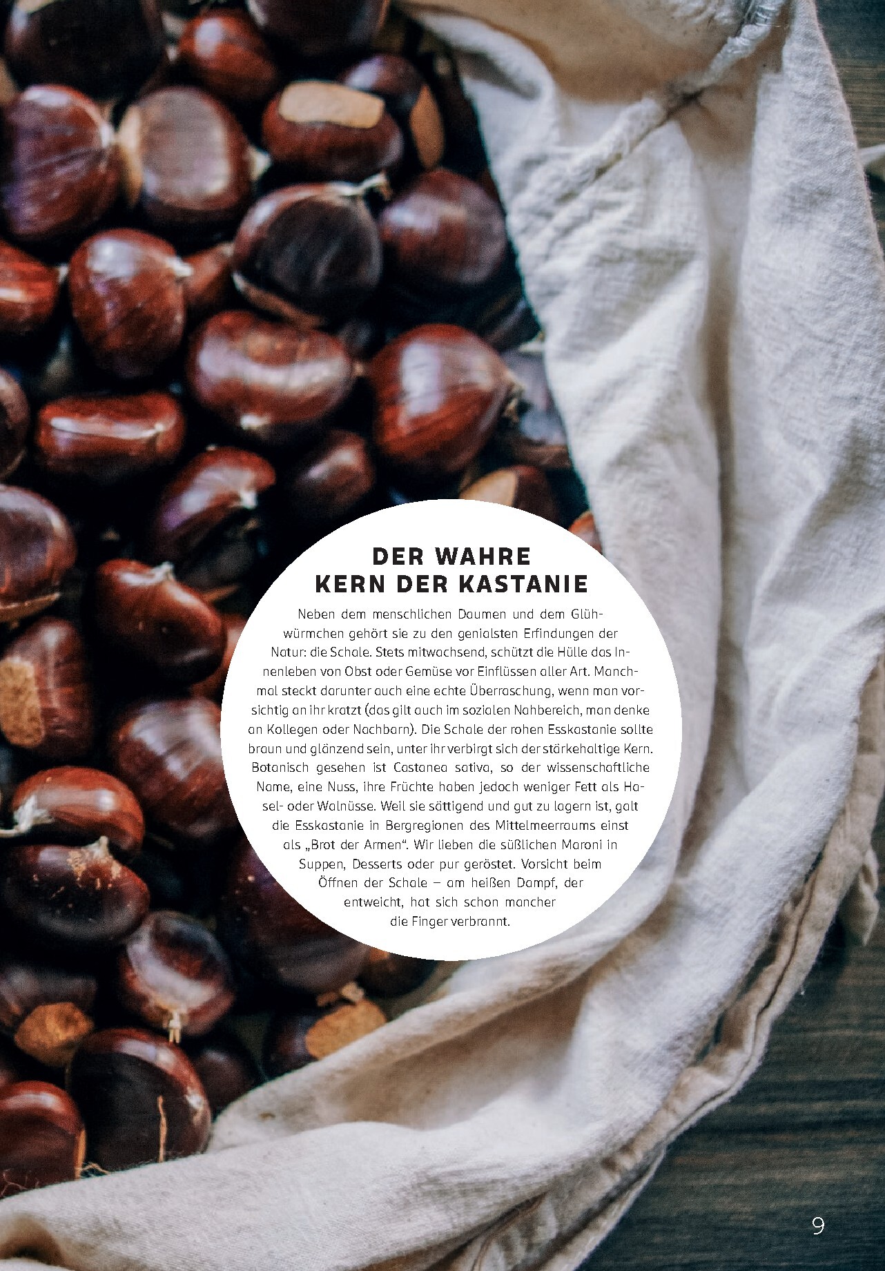 rossmann - ROSSMANN - Centaur Prospekt – von Donnerstag 01.10.2026 bis Samstag 31.10.2026 - page: 9