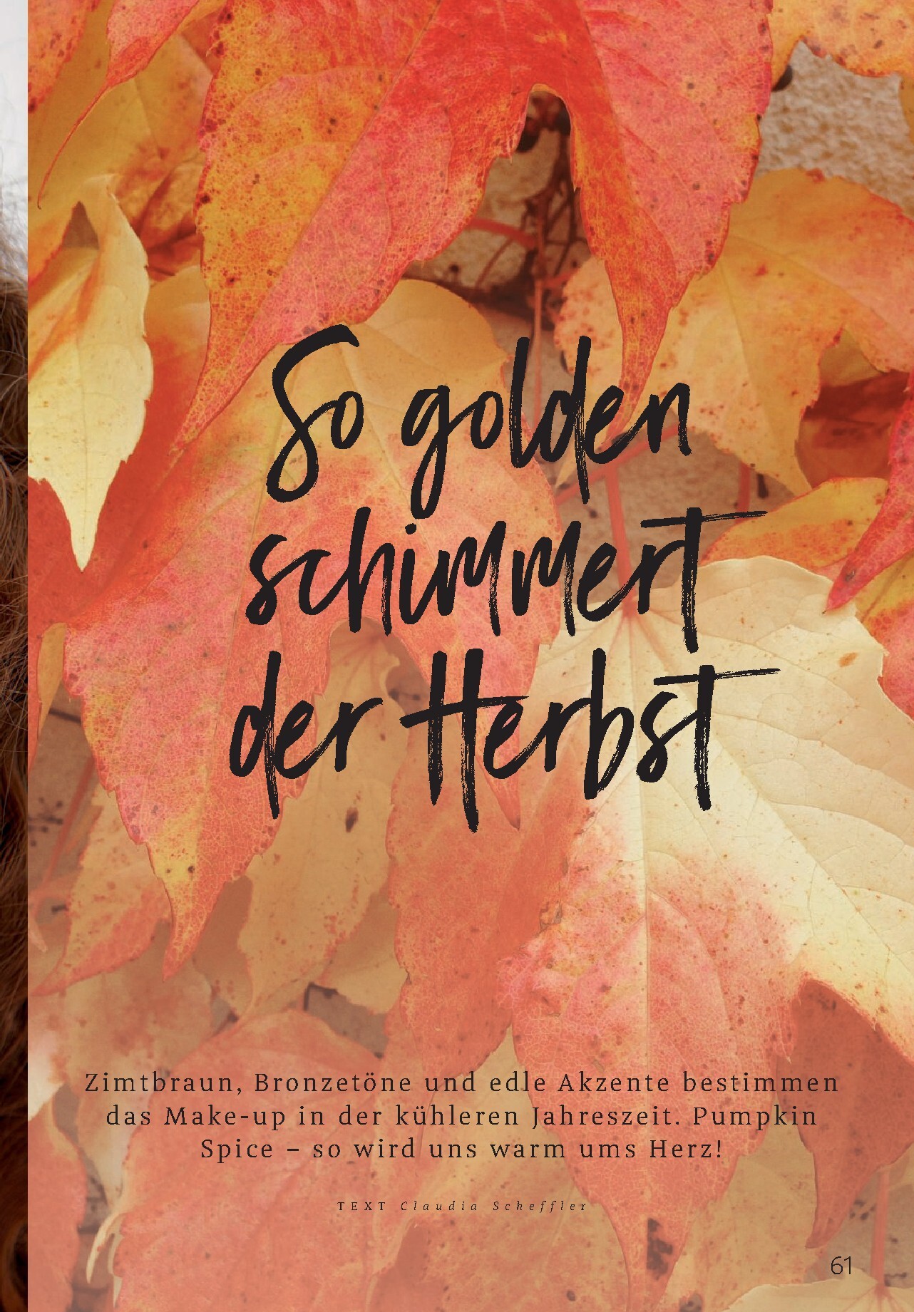 rossmann - ROSSMANN - Centaur Prospekt – von Donnerstag 01.10.2026 bis Samstag 31.10.2026 - page: 61