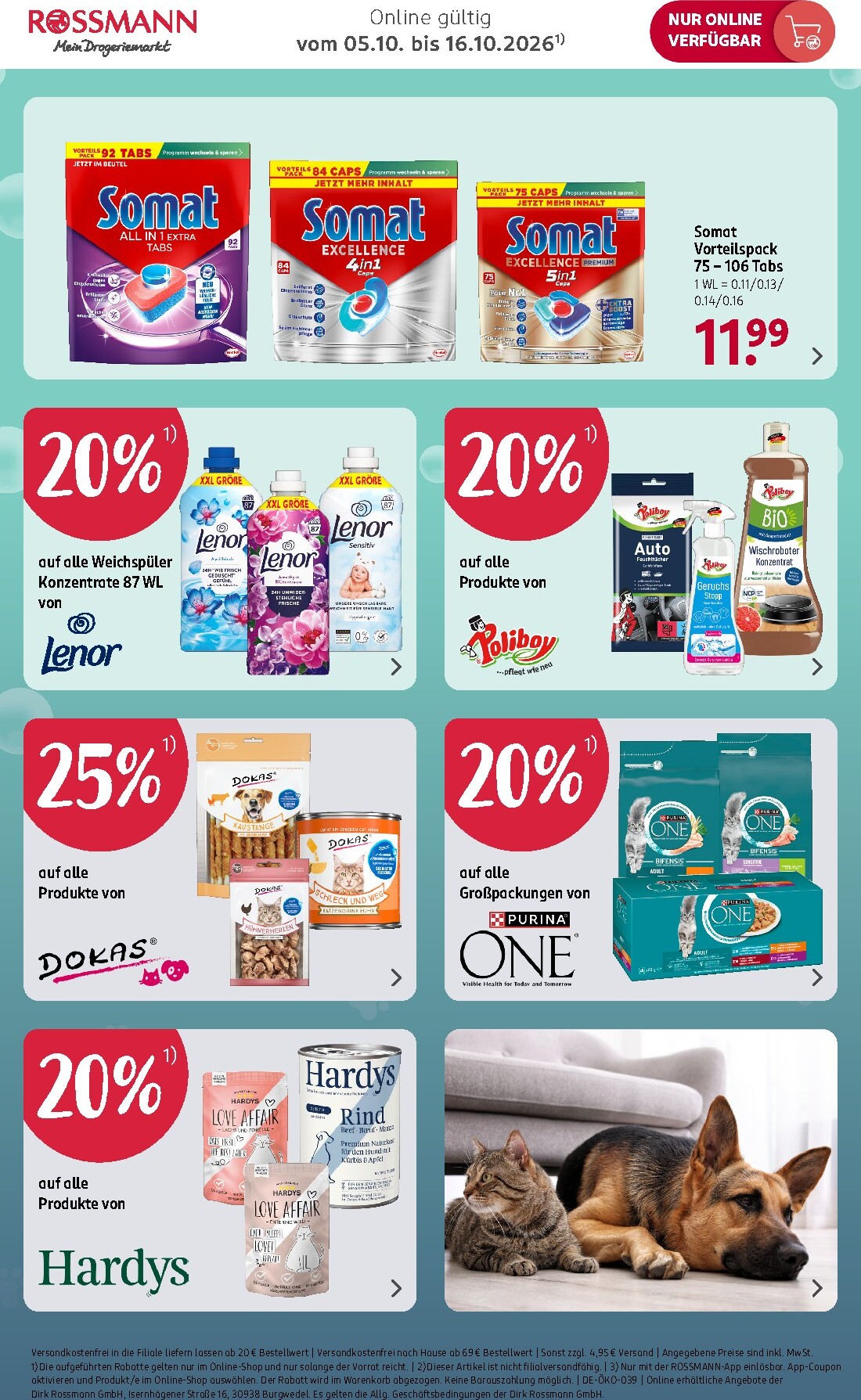rossmann - ROSSMANN - Online Exklusiv Angebote Prospekt nächste Woche – von Montag 05.10.2026 bis Freitag 16.10.2026 - page: 3