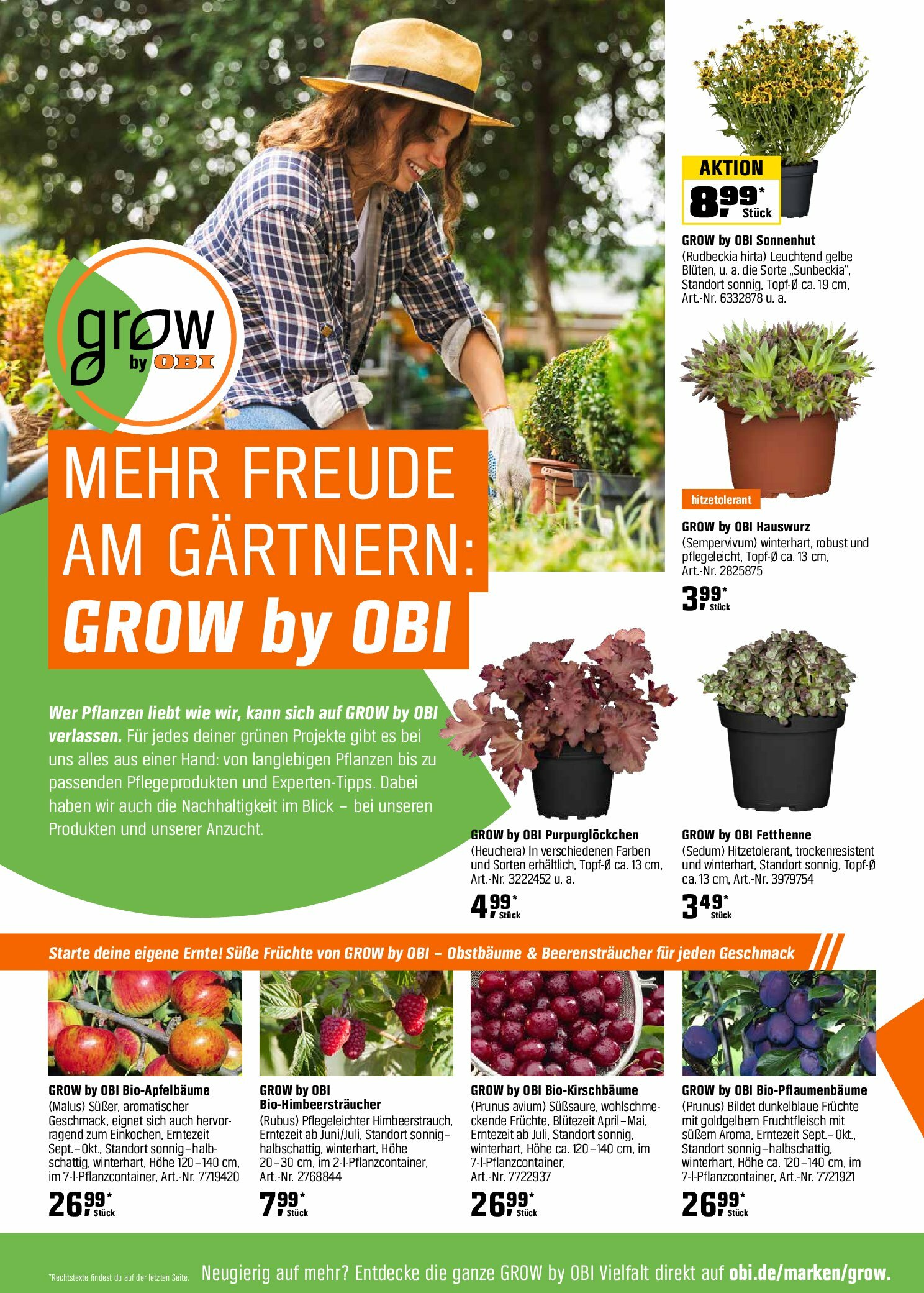obi - Obi - Herbstzeit ist Pflanzzeit-Prospekt gültig vom 01.09. bis 18.10. - page: 16