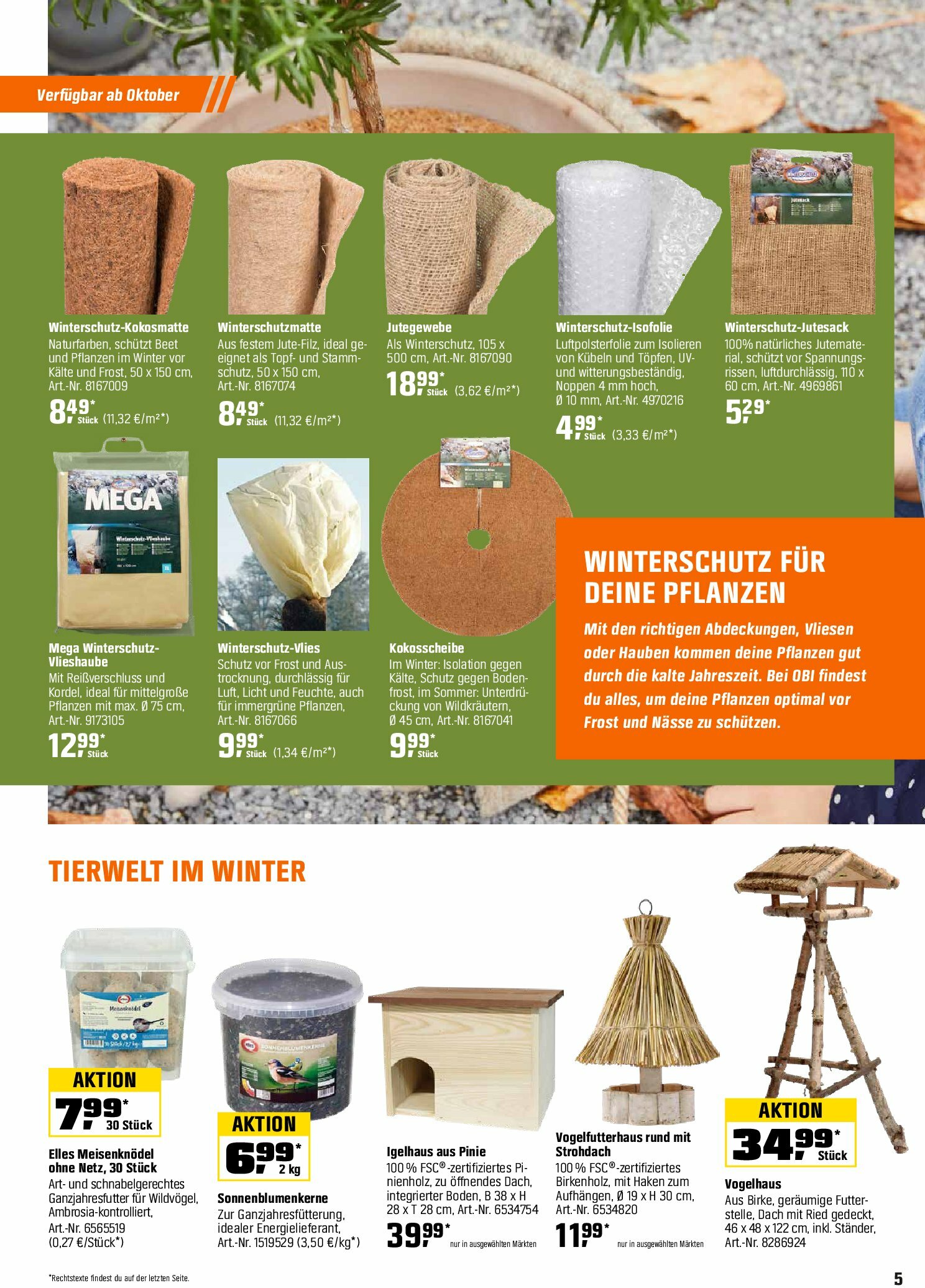 obi - Obi - Herbstzeit ist Pflanzzeit-Prospekt gültig vom 01.09. bis 18.10. - page: 5