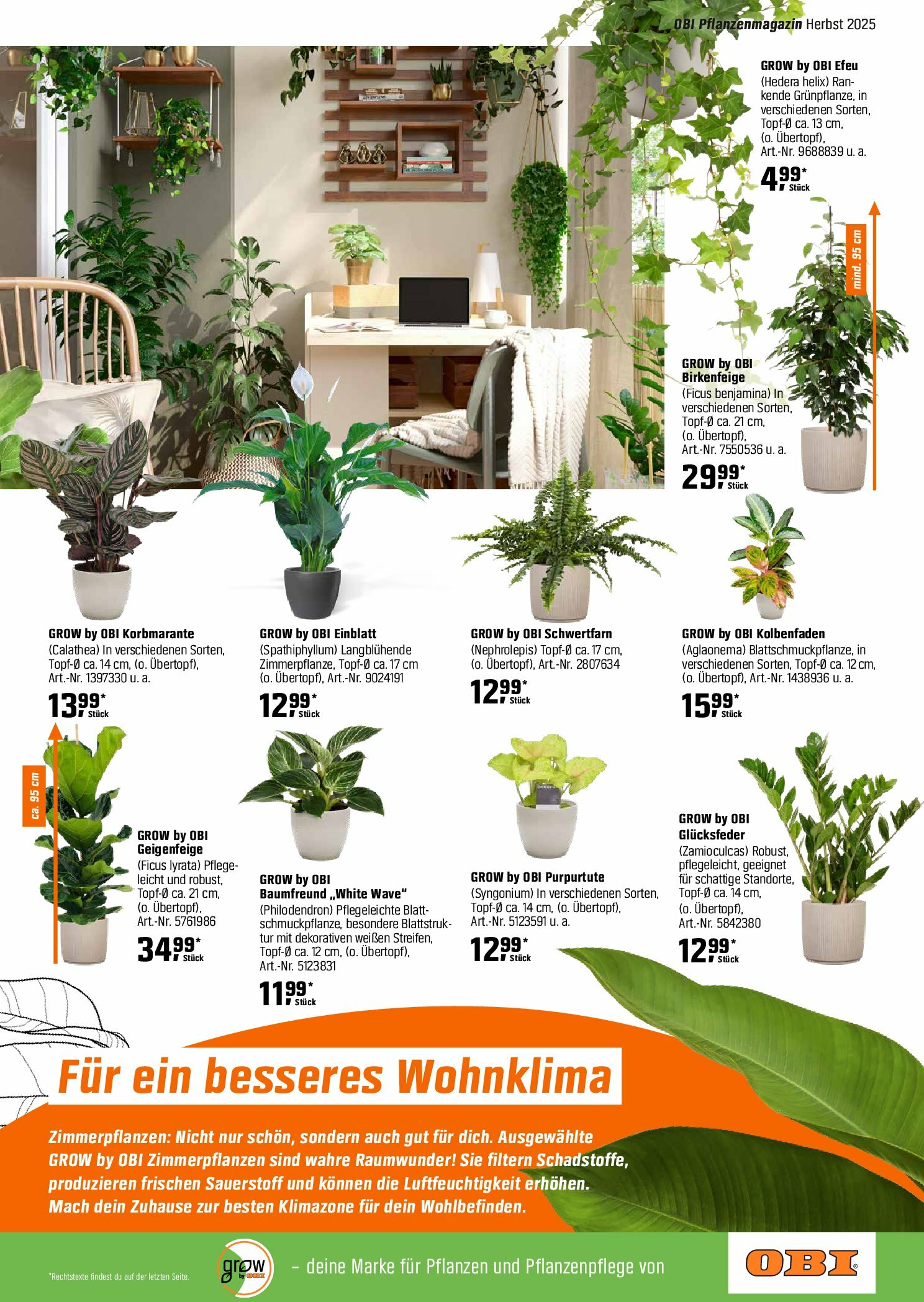 obi - Obi - Herbstzeit ist Pflanzzeit-Prospekt gültig vom 01.09. bis 18.10. - page: 19