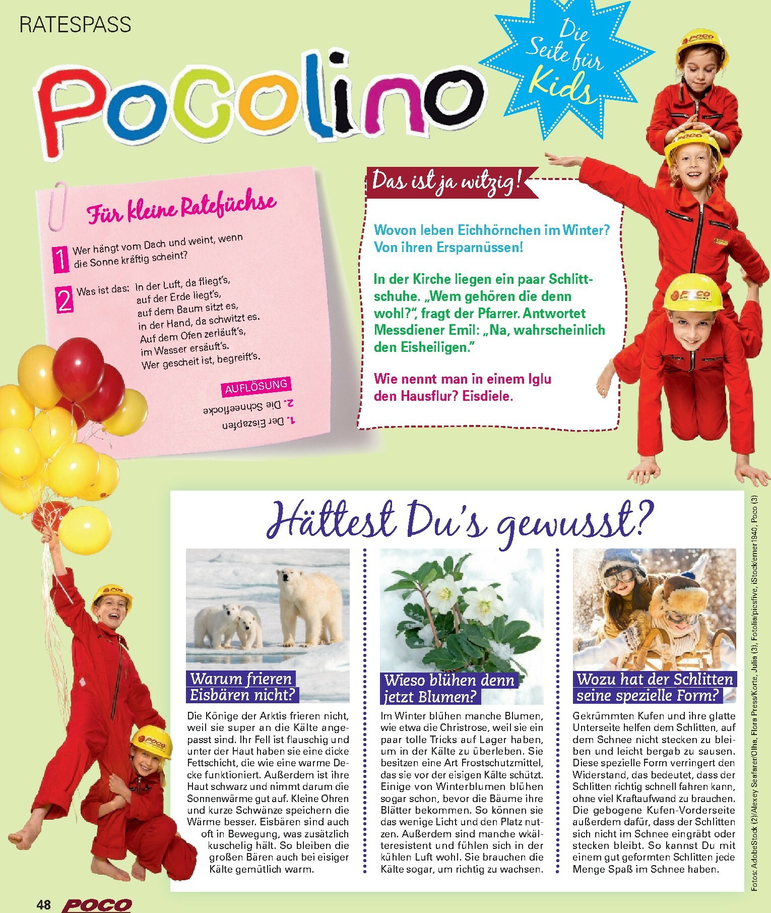 poco - Poco - Winter-Prospekt gültig vom 01.12. bis 15.02. - page: 48