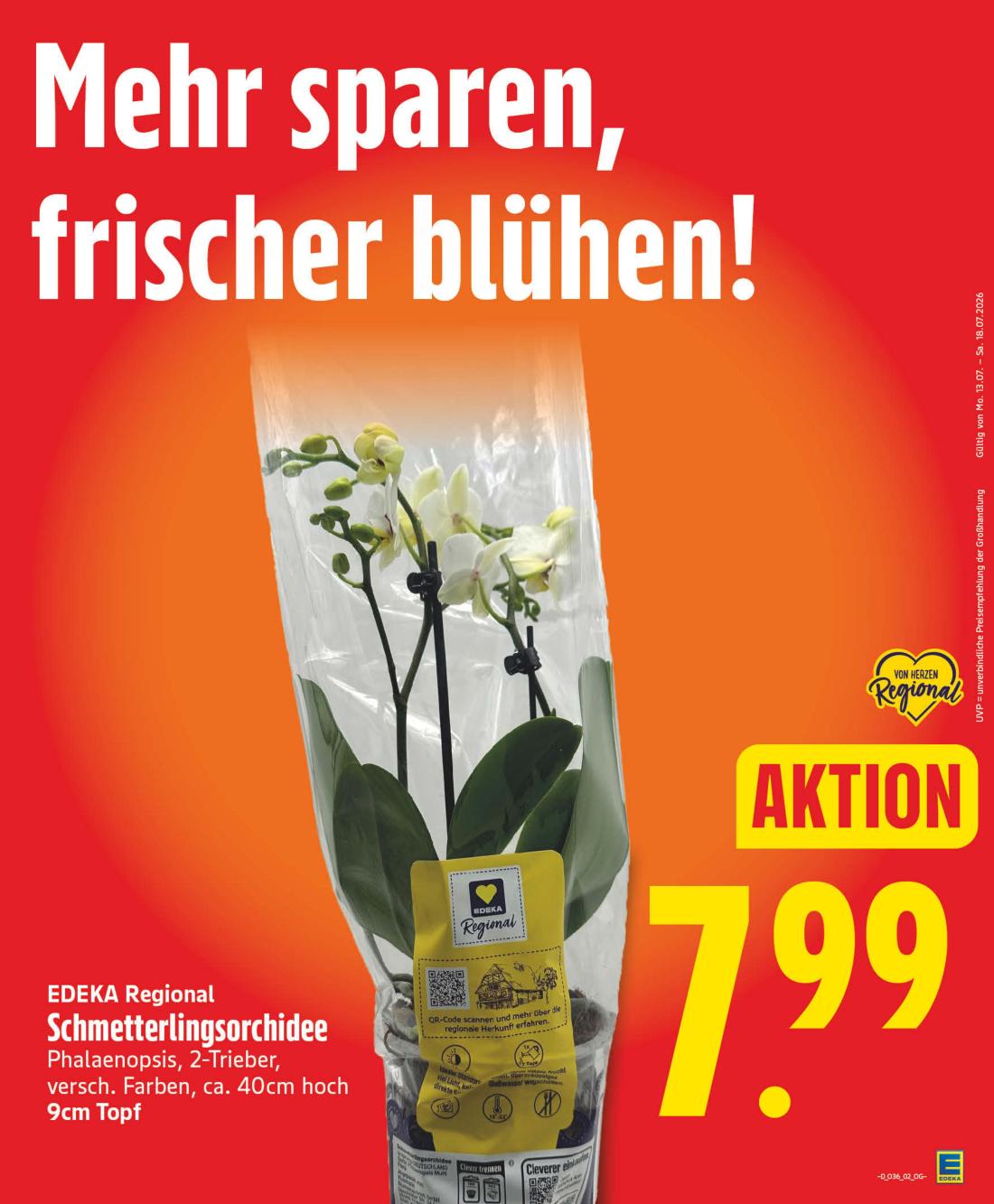 np - NP - Hemmingen Prospekt nächste Woche – von Montag 31.08.2026 bis Samstag 05.09.2026 - page: 5