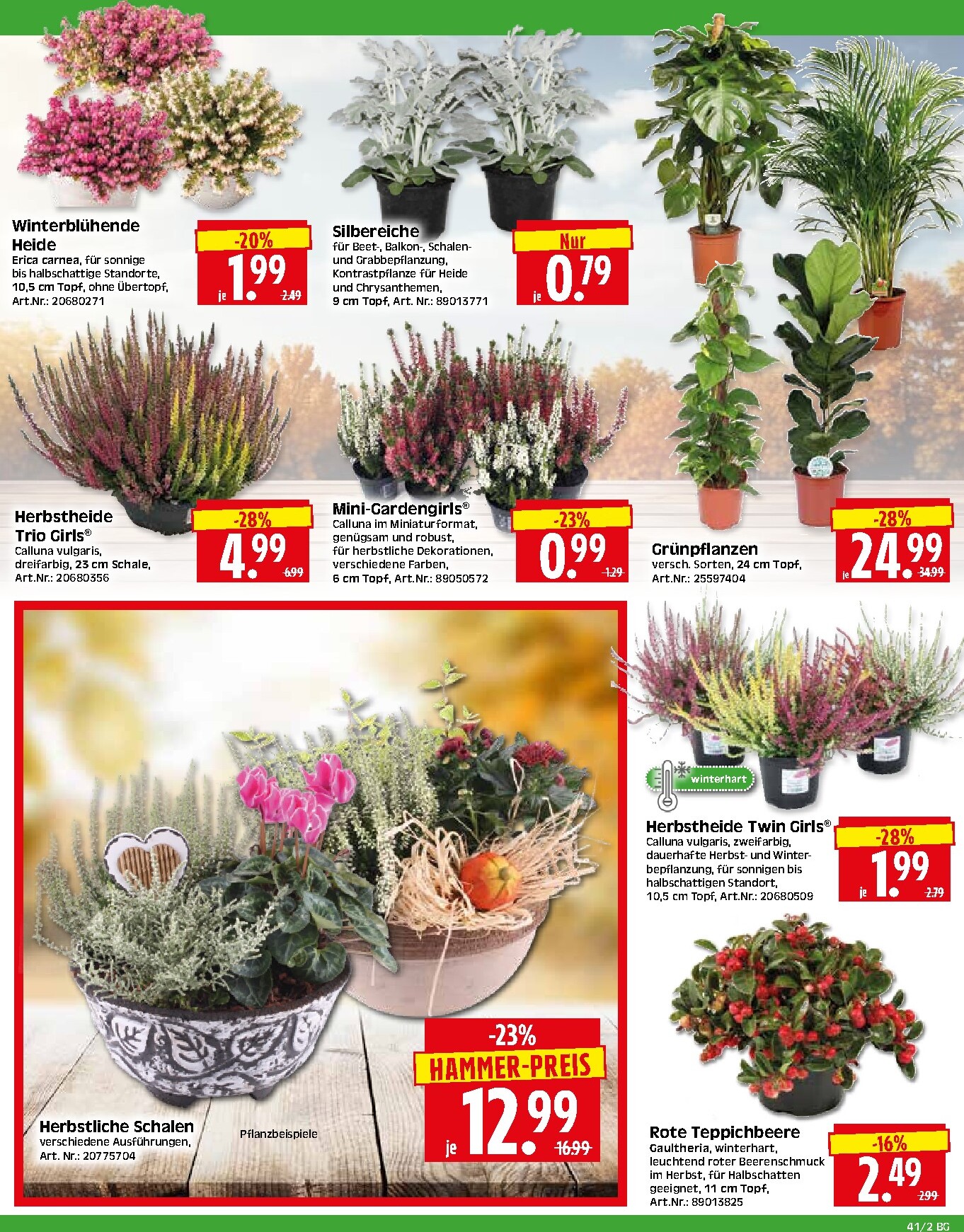 herkules - Herkules - Bau & Garten Prospekt nächste Woche – von Montag 05.10.2026 bis Samstag 10.10.2026 - page: 2