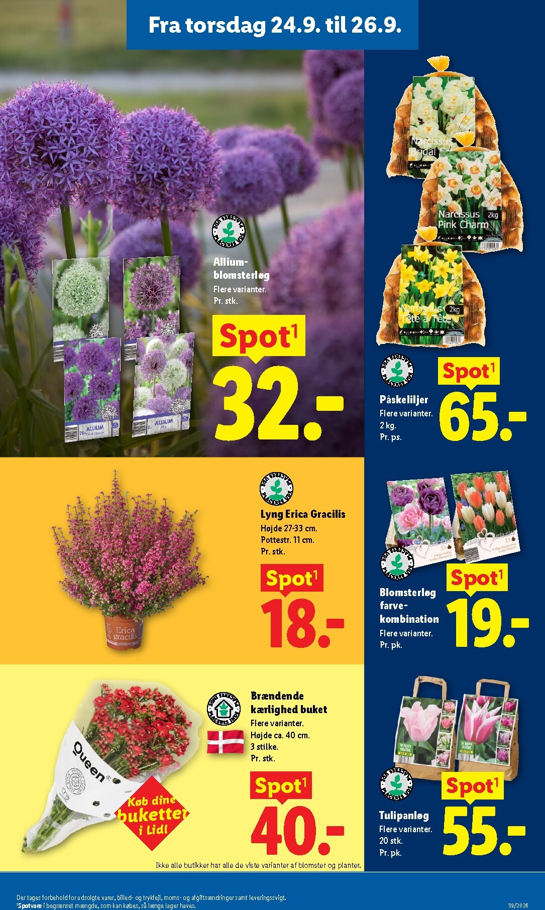 lidl - Ny Lidl - Weekendtilbud tilbudsavis fra torsdag, 24.09.2026 til lørdag, 26.09.2026 - page: 11