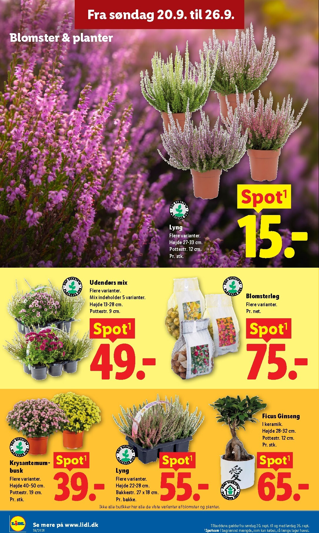 lidl - Ny Lidl - Weekendtilbud tilbudsavis fra torsdag, 24.09.2026 til lørdag, 26.09.2026 - page: 42
