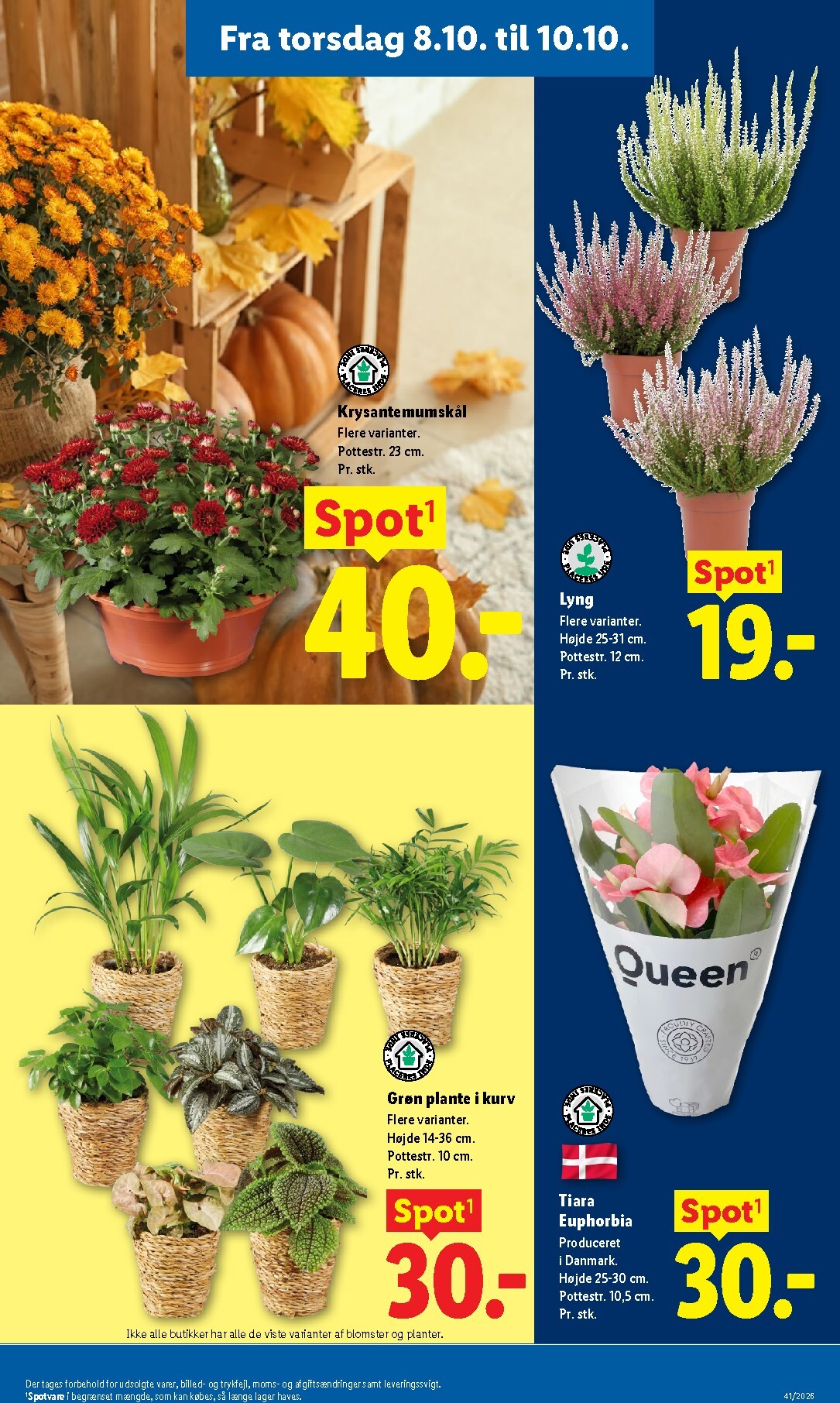 lidl - Aktuel Lidl tilbudsavis fra søndag, 04.10.2026 til lørdag, 10.10.2026 - page: 13