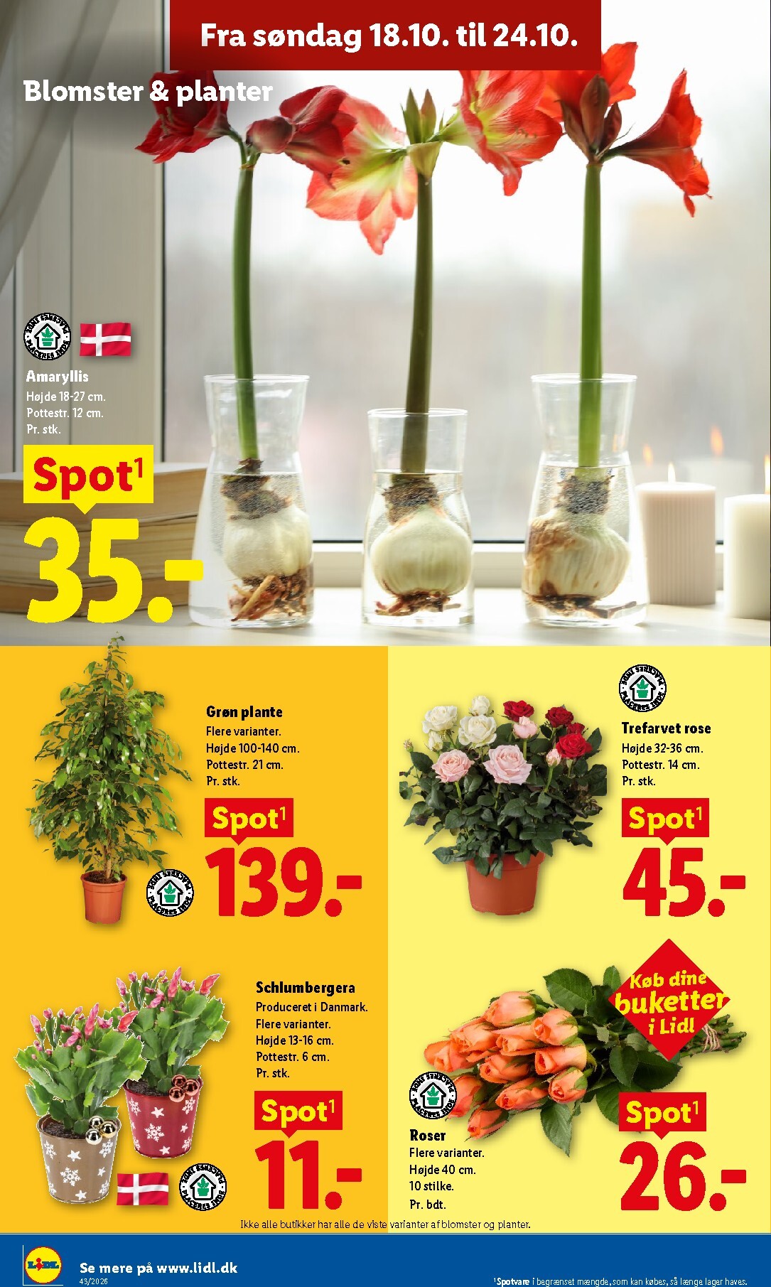 lidl - Lidl tilbudsavis for næste uge fra søndag, 18.10.2026 til lørdag, 24.10.2026 - page: 31