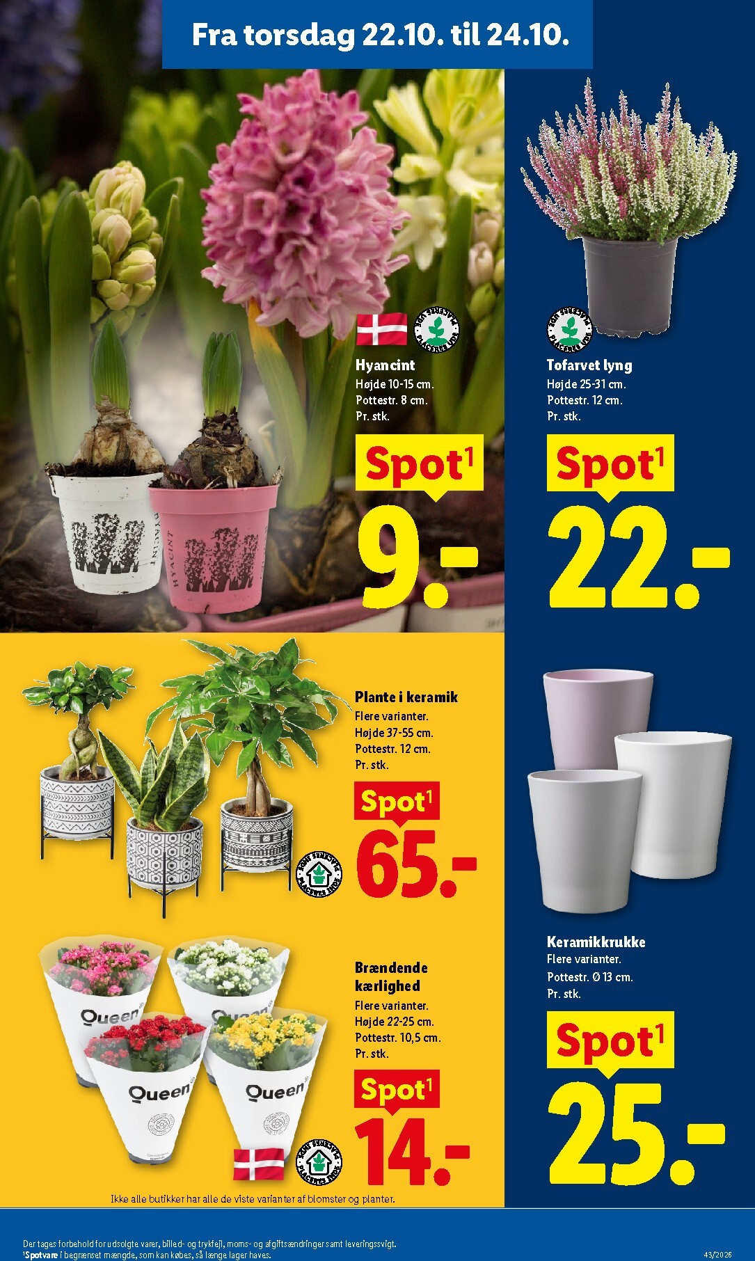 lidl - Lidl tilbudsavis for næste uge fra søndag, 18.10.2026 til lørdag, 24.10.2026 - page: 32