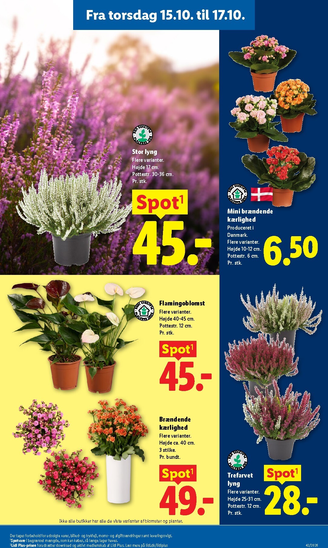 lidl - Ny Lidl - Weekendtilbud tilbudsavis fra torsdag, 15.10.2026 til lørdag, 17.10.2026 - page: 9