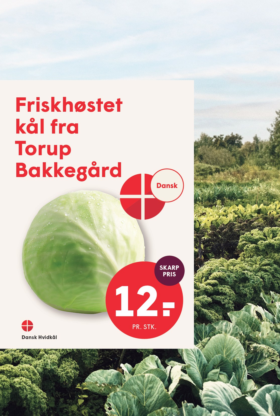 spar - Spar tilbudsavis for næste uge fra fredag, 09.10.2026 til torsdag, 15.10.2026 - page: 5