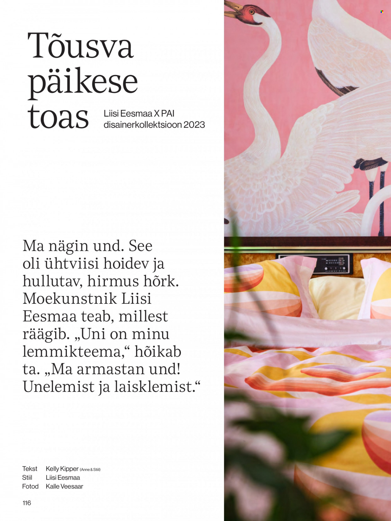 kaubamaja - Kaubamaja kliendileht - page: 116