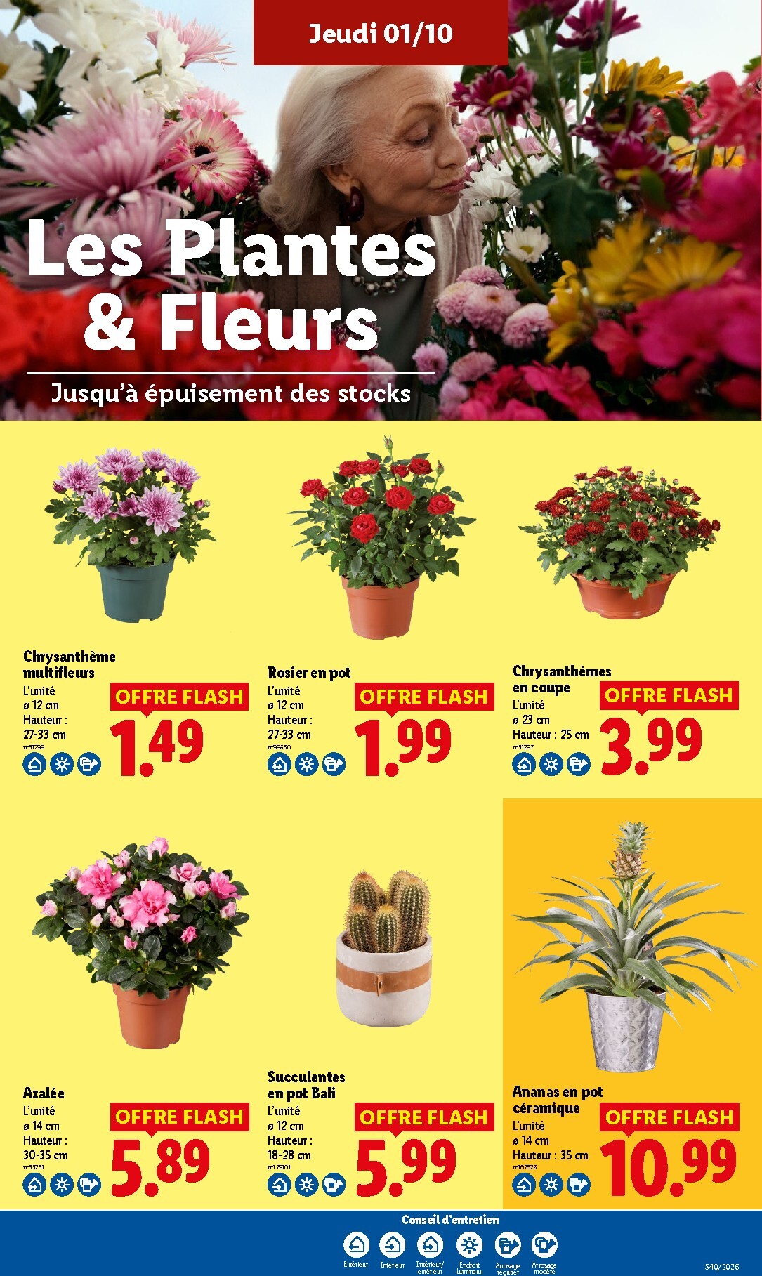 lidl - Prospectus Lidl valide du de jeudi 01/10/2026 au du mercredi 07/10/2026 - page: 29