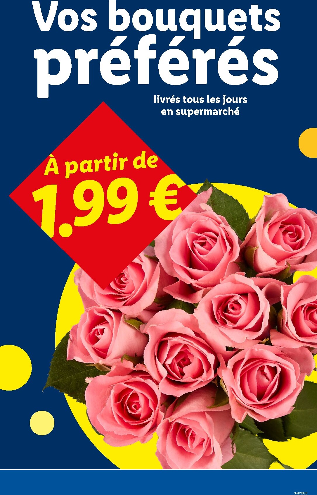 lidl - Flyer Lidl pour la semaine prochaine du de jeudi 22/10/2026 au du mercredi 28/10/2026 - page: 31