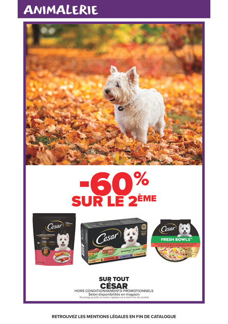 carrefour-market - Flyer Carrefour Market pour la semaine prochaine du du mardi 20/10/2026 au du dimanche 01/11/2026 - page: 49