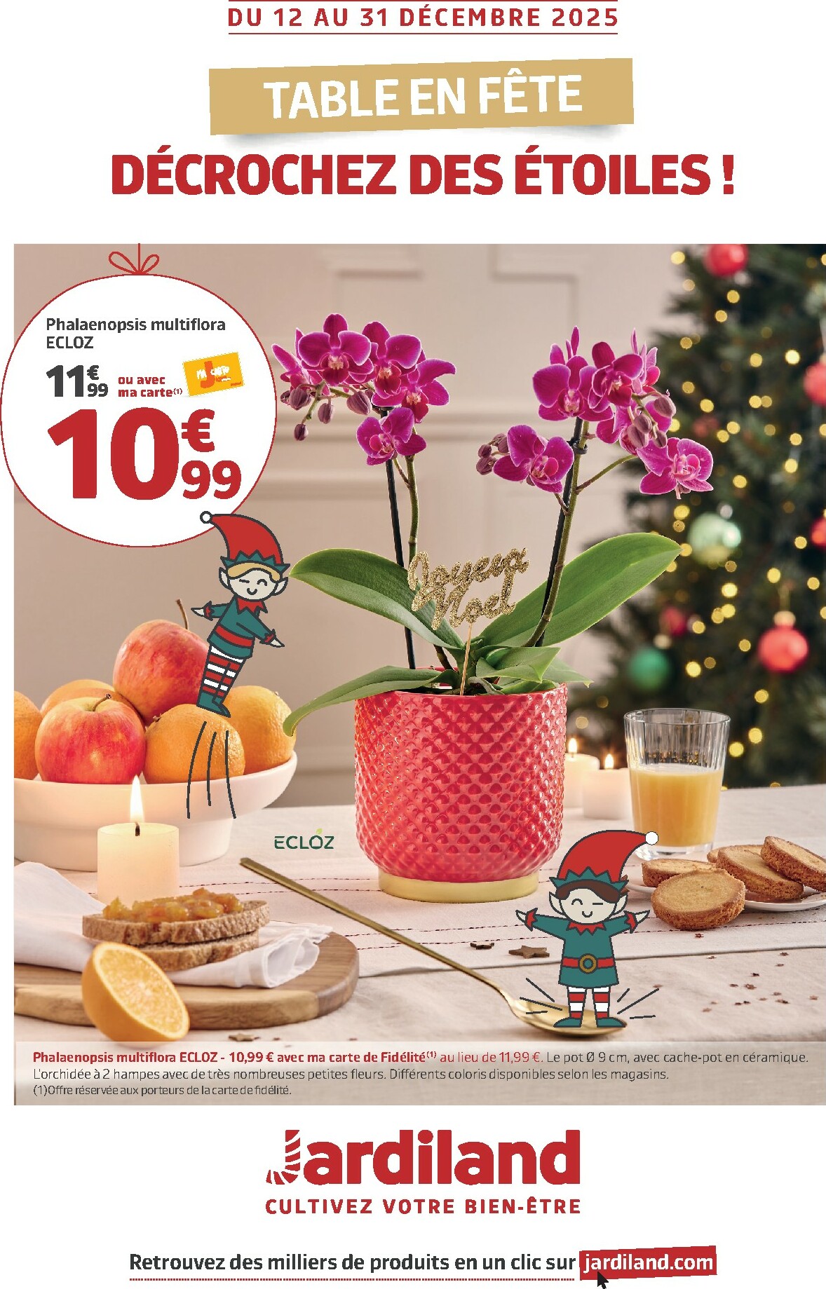 jardiland - Catalogue Jardiland valable du 12/12 au 31/12