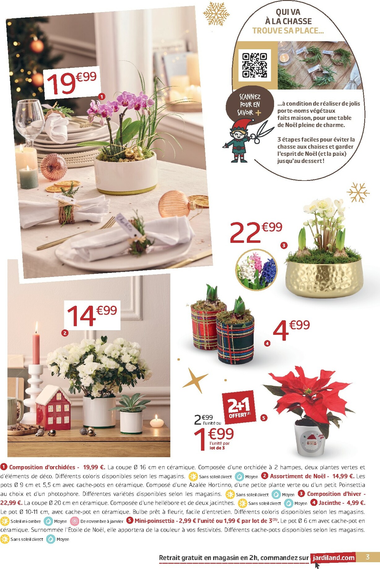 jardiland - Catalogue Jardiland valable du 12/12 au 31/12 - page: 3