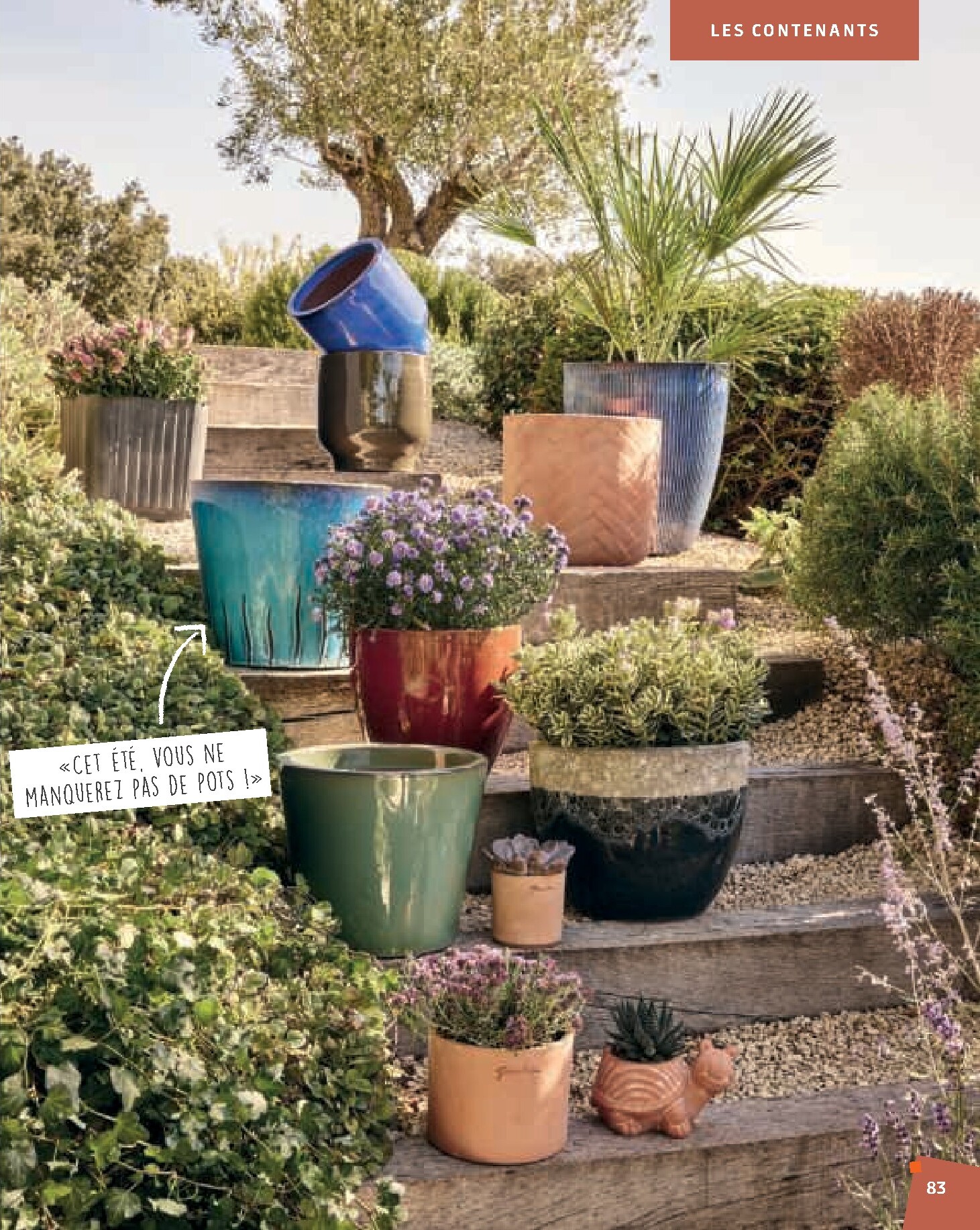 jardiland - Catalogue Jardiland valable du 02/03/2026 au 23/06/2026 - page: 83