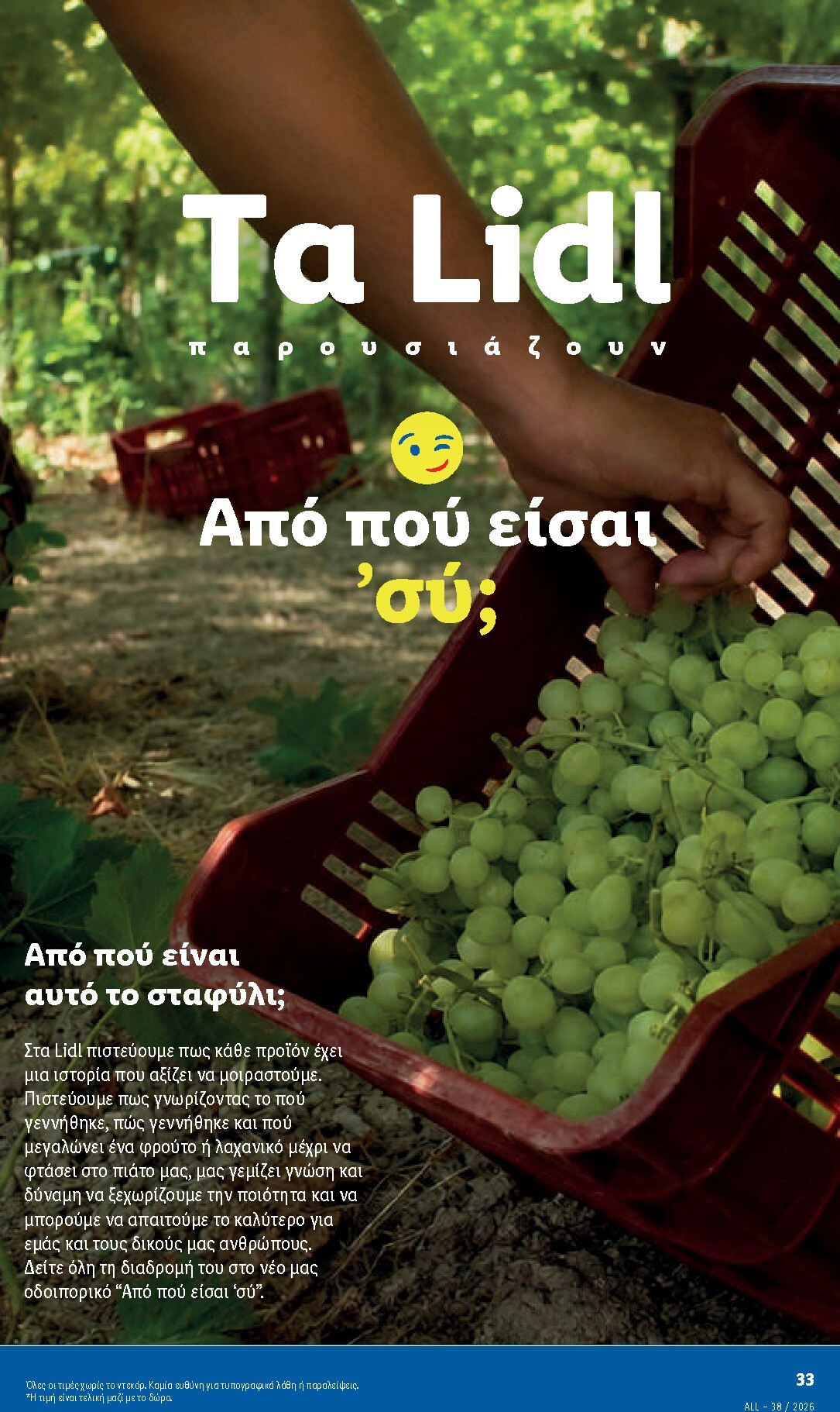 lidl - Το τρέχον φυλλάδιο Lidl ισχύει από πέμπτης 17/09/2026 έως τετάρτης 23/09/2026 - page: 10