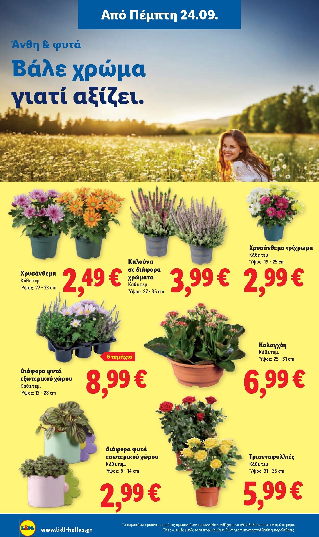 lidl - Το τρέχον φυλλάδιο Lidl ισχύει από πέμπτης 24/09/2026 έως τετάρτης 30/09/2026 - page: 44