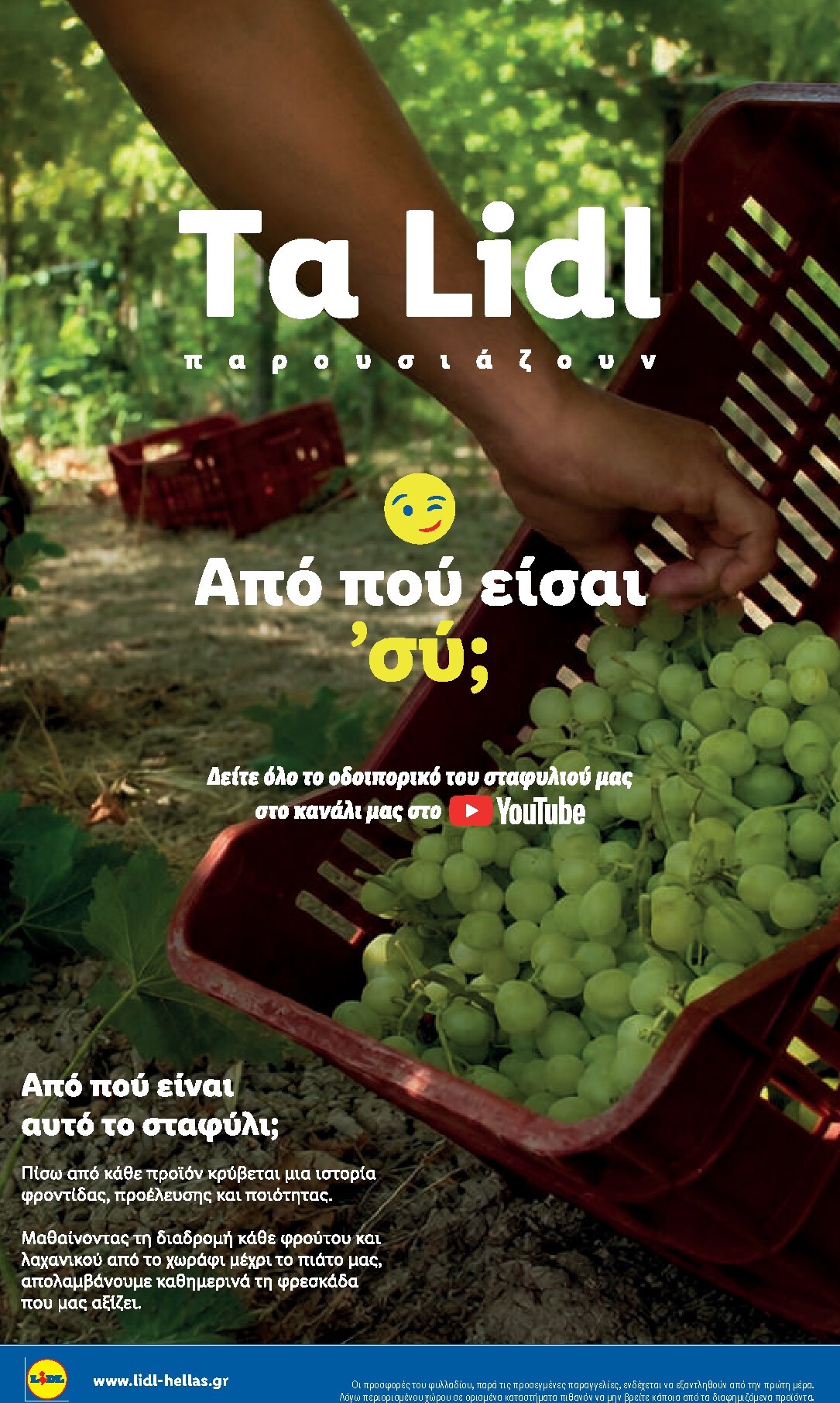 lidl - Το τρέχον φυλλάδιο Lidl ισχύει από πέμπτης 01/10/2026 έως τετάρτης 07/10/2026 - page: 32