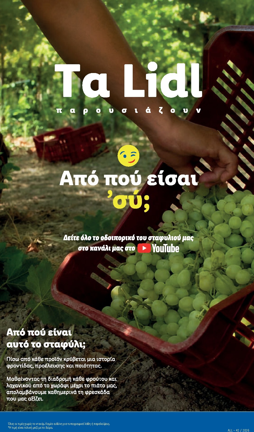 lidl - Μέλλων φυλλάδιο Lidl ισχύει από πέμπτης 15/10/2026 μέχρι τετάρτης 21/10/2026 - page: 11