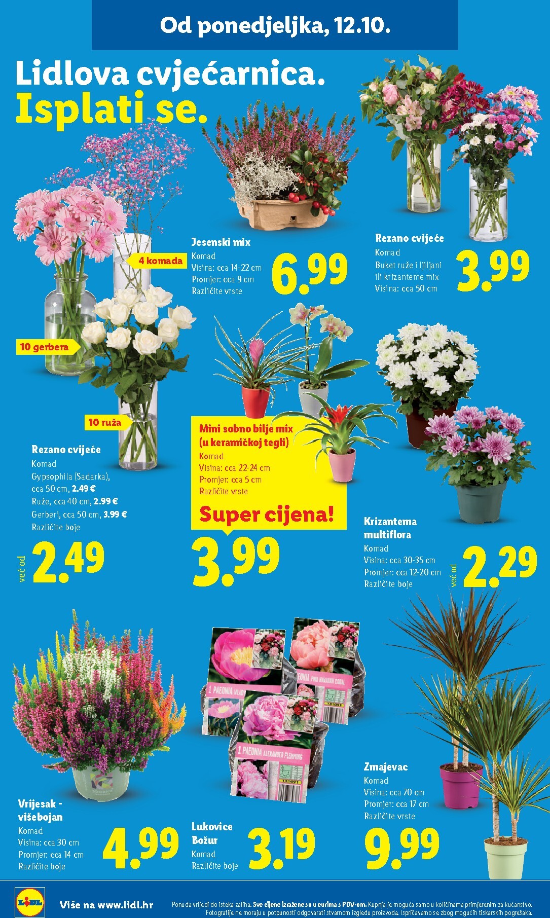 lidl - Aktualni katalog Lidl od ponedjeljka, 12.10.2026 do nedjelje, 18.10.2026 - page: 36