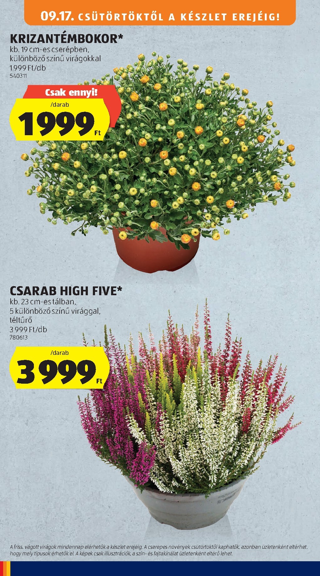aldi - Aktuális Aldi szórólap érvényes csütörtöktől 2026.09.17.-től szerdától 2026.09.23.-ig - page: 32